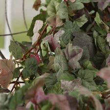 Set of 4 Flocked Artificial 40" Ivy Vine Floral Bushes