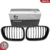 Esen SKV KüHlergrill KüHlergitter Carbon Passend FüR BMW X5 E53