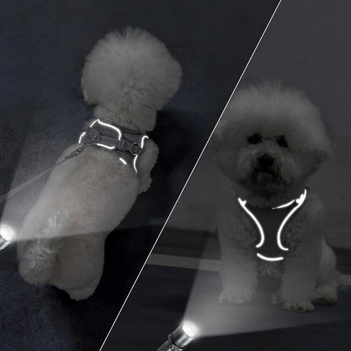 Katzengeschirr Hundegeschirr & Leine Welpengeschirr Reflektierend Mesh Weste NEU - Bild 8 von 20