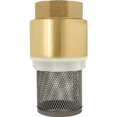 Rückschlagventil Pumpe 1/2 3/4 1 1-1/4 Zoll Gartenschlauch Filter