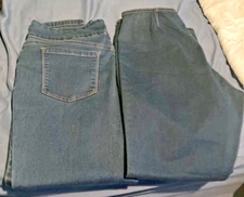 FDJ Women's Jeans, (2) Pair  French Dressing Jeans, Size 14 & 12 P