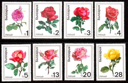 Bulgarie 1999-06 **, roses fleurs, timbre neuf - Photo 1/1