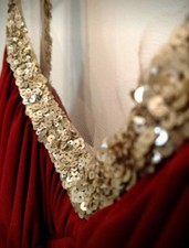 NWT $625 VERA WANG GOWN- Red, US Woman's Size 6