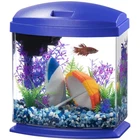 Blue Small Fish Tank with SmartClean Technology