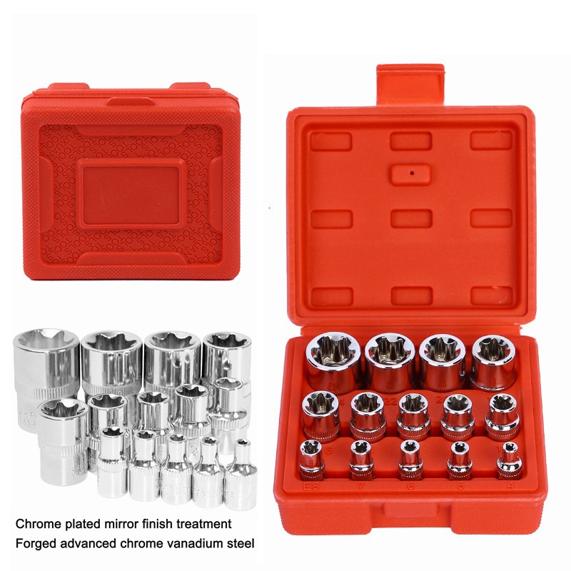 14-Piece E-Torx Socket Set – Female Torx Star Sizes E4-E24, Chrome Steel, 3 Drive Sizes
