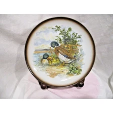 Duck Plate, Hassenpflug Vienna Austria Duck Plate, fowl, wildlife