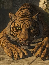 Crouching Tiger Ready to Pounce Hyper Realistic Art Poster 18x24in