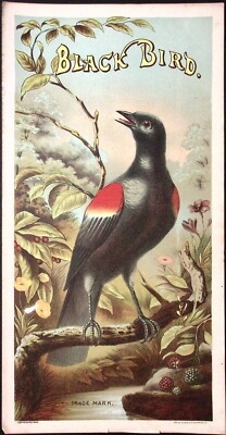 Original Antique Tobacco crate label 1880s Stone Lithograph Black Bird Virginia 