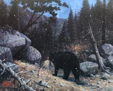 Les Kouba Makin' His Den - Black Bear Artist's Proof on Paper