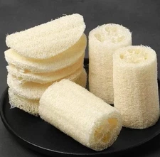 25 Big Long Smooth Luffa Seeds Sponge gourd 特長絲瓜 Luffa Cylindrica Muop Huong USA