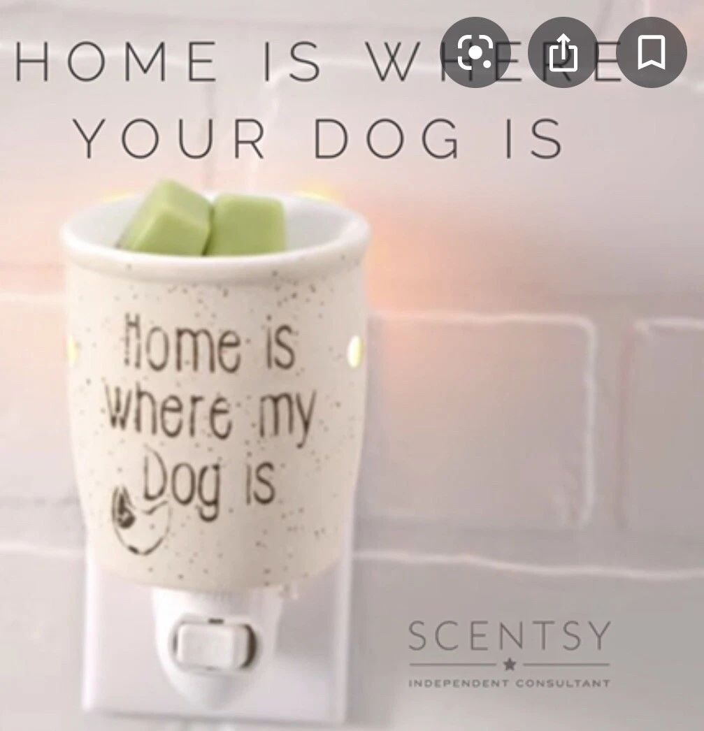 Are Scentsy Scents Safe For Dogs