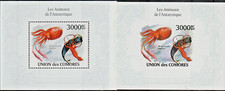 COMORES-2010 ANTARCTIC WHALES, MARINE LIFE PERF & SCARCE IMPERF SOUVENIR SHEETS