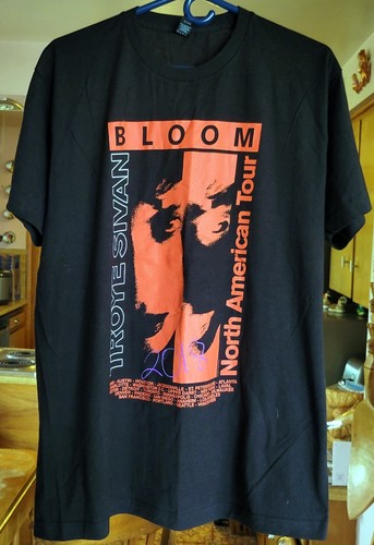 TROYE SIVAN 2018 CONCERT TOUR SHIRT - L BLOOM