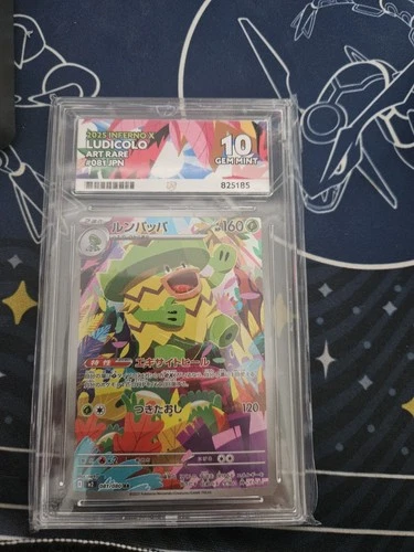 Pokémon TCG Ludicolo Art Rare Ace 10 Inferno X Slight Damage