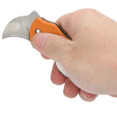Tragbares Edelstahl Eagle Claw Blade Knife Outdoor Mini Folding Knife Premium