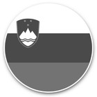 2 x Vinyl Stickers 25cm (bw) - Slovenia Balkans Flag Travel #41790