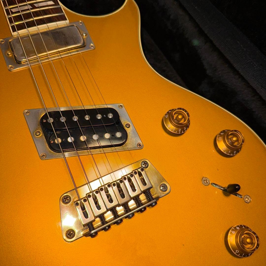 Gibson Custom Shop 1994 Nighthawk 22F w/ Gig Bag From JAPAN