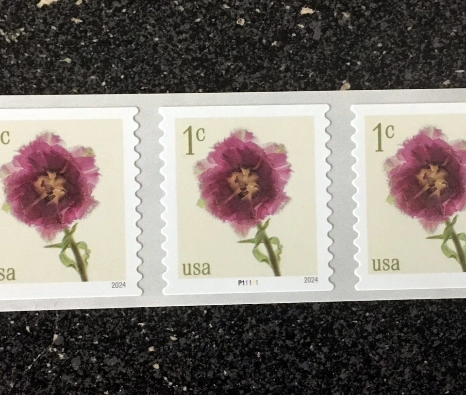 2024USA #5902 1c Fringed Tulips - Plate Number Coil Strip of 5 PNC Mint flowers - Image 2 of 2