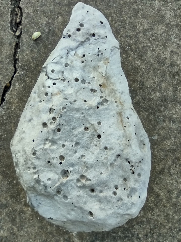 Native American Authentic Stone Effigy. Large and Rare. Great Value ...