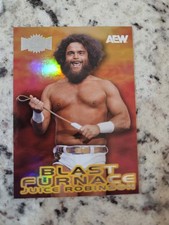 2025 UD Skybox Metal AEW Blast Furnace BF 2 OF 30 Juice Robinson