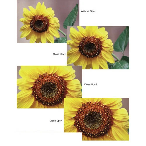 New Tiffen 52mm Close-up Lens Set - Decrease Minimum Focus Distance +1, +2 & +4 - Image 4 of 4