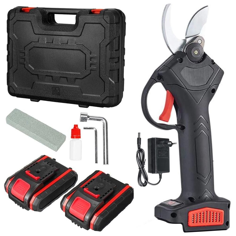 Forbici Elettriche per Alberi da Frutto: Kit 2 Batterie e Accessori
