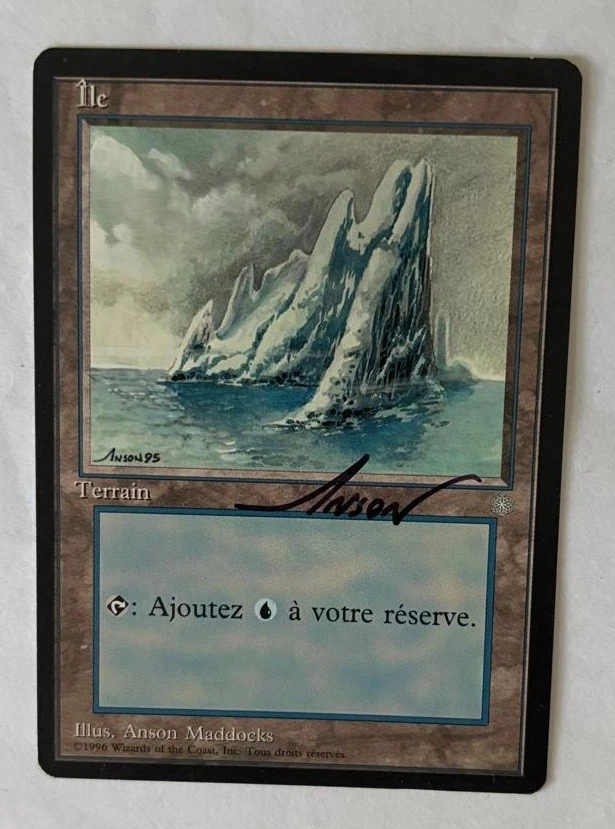 Land Magic: The Gathering Individual Trading Card Games in French