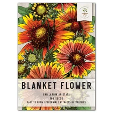 Blanket Flower Seeds For Planting (Gaillardia aristata)