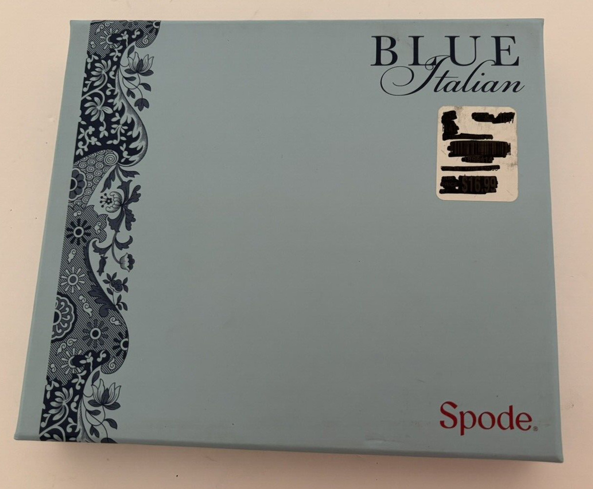 Spode Blue Italian Set of 6 Tea Spoons New in Box Teaspoons