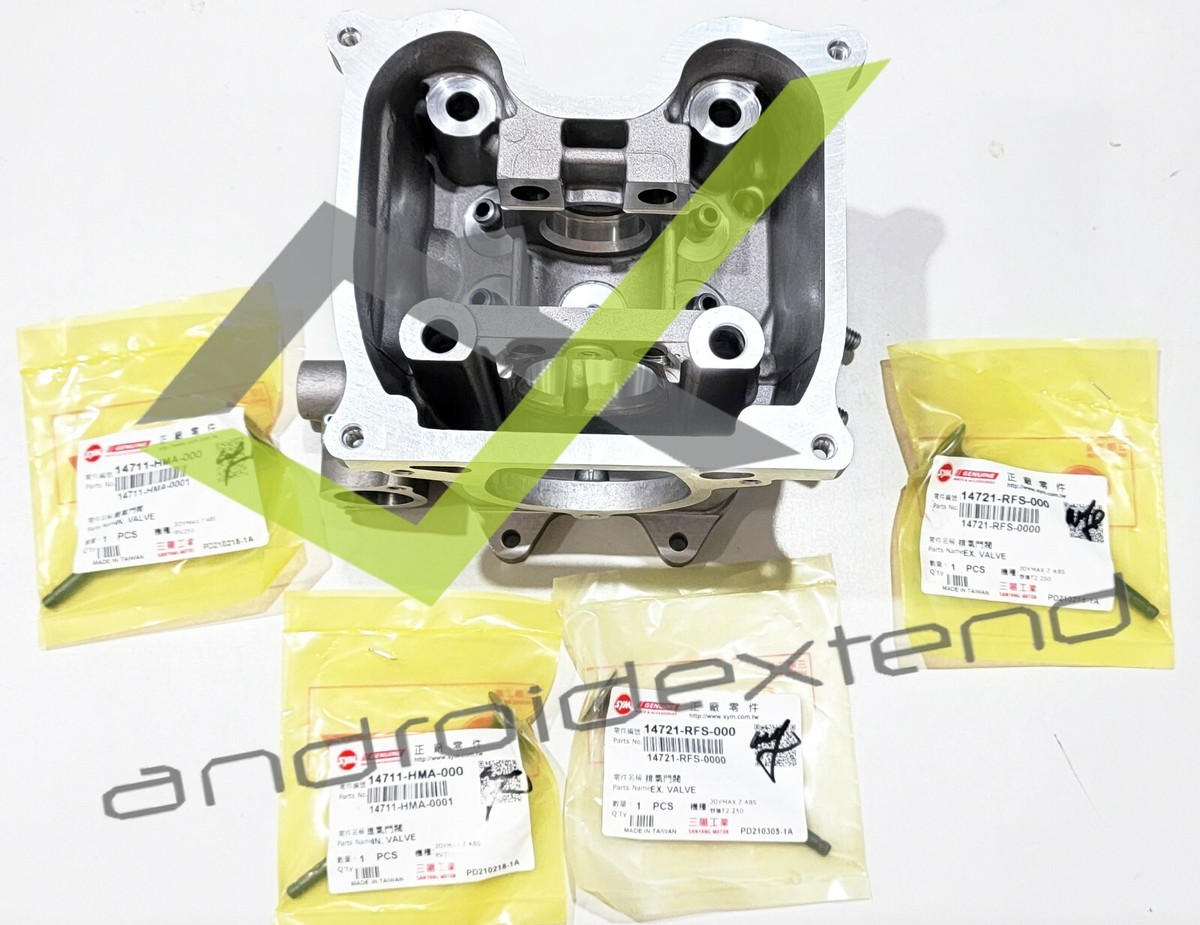 SYM RV250 VOYAGER (GTS250) CYLINDER HEAD + ENGINE VALVES KIT 12200