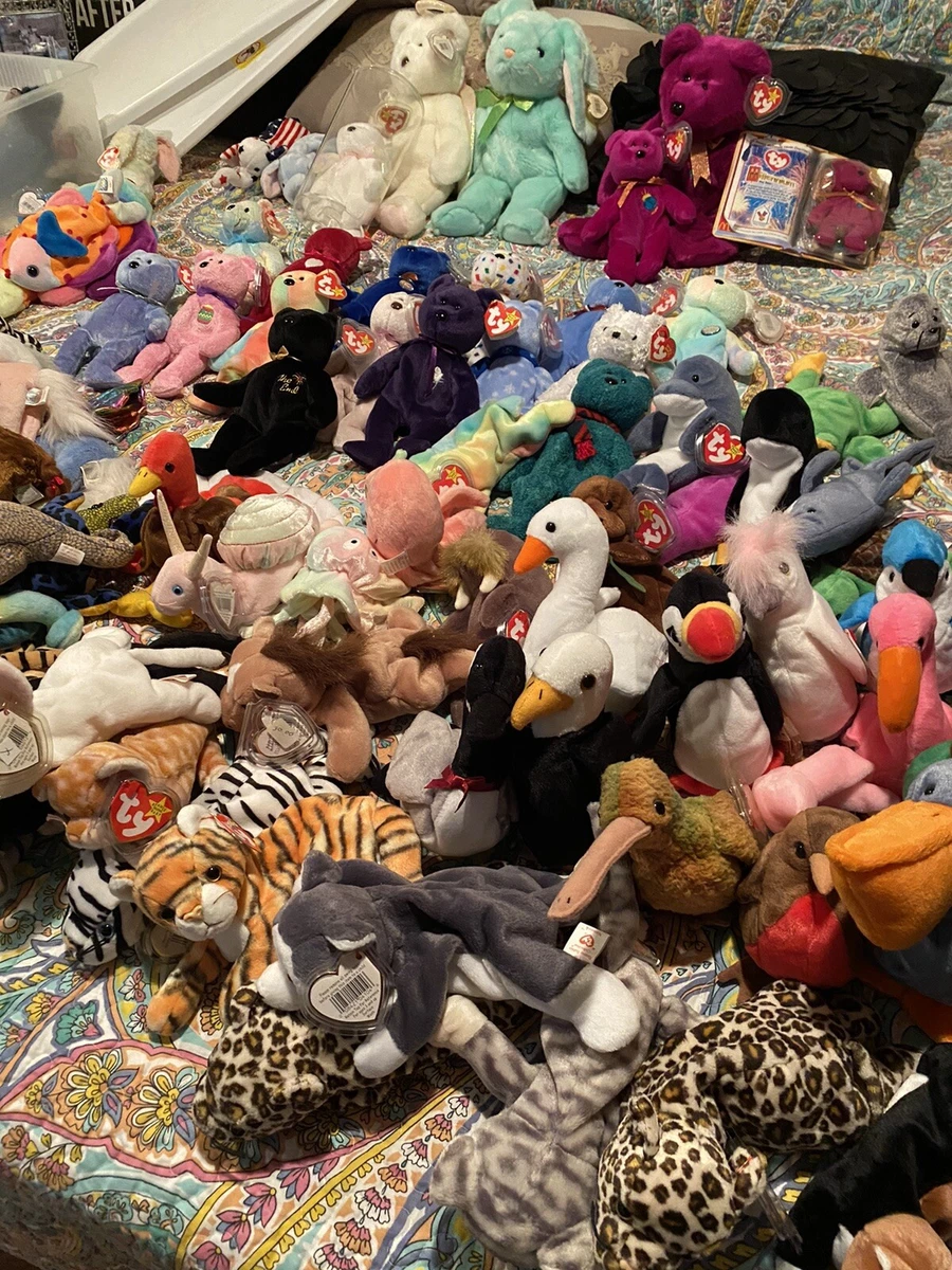 The 20 Most Expensive Beanie Babies In The World (2023), 60 OFF