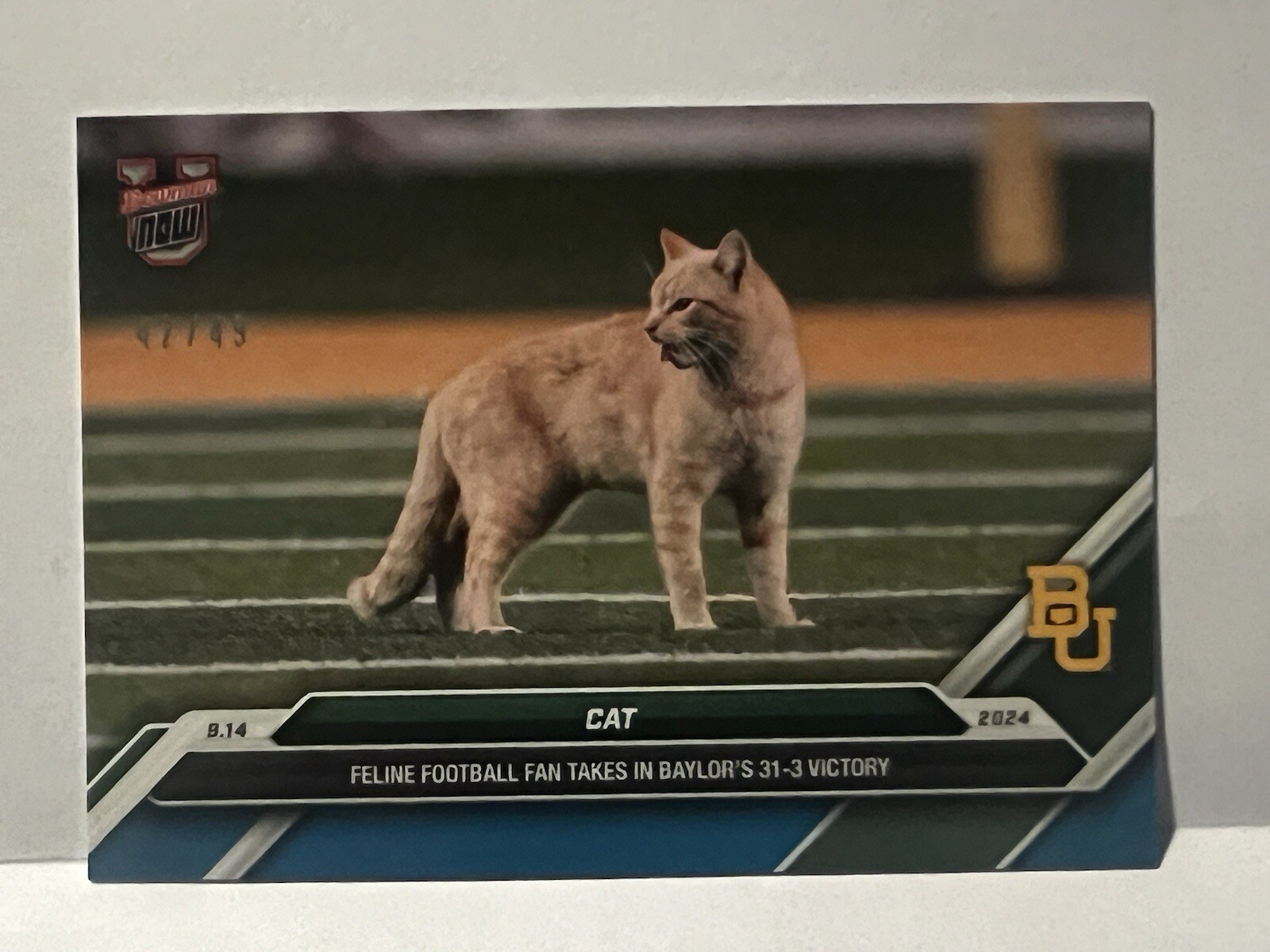 Cat Baylor University 2024 Bowman U Now Football Card 14 Blue Parallel /49
