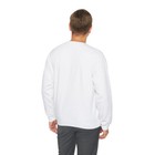 Foto 12 di 25