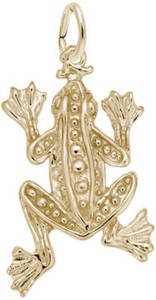 Authentic The Gilded Amphibian Talisman Of Abundance And Transformation