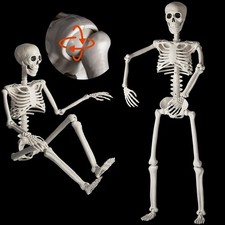 36" Poseable Halloween Skeletons - Life-Size Full Body Decoration 2 Pack