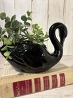 Vintage Frankoma Pottery Swan Black Glaze Greenery Makeup Brushes Decor 7.5”X 5”