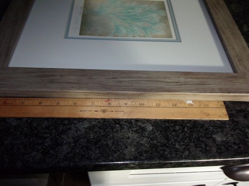 JENNIFER GOLDBERGER ART - Firmado - 18" x 16" - ENMARCADO Y MATE - Imagen 5 de 7