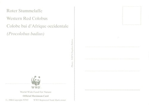 E0008 WWF Maximum Card 1992 Fauna Animals Apes Guinea Bissau Western Red Colobus - Picture 2 of 2