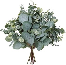 10 Pcs Mixed Eucalyptus Leaves Stems Bulk Artificial Silver Dollar Green,grey