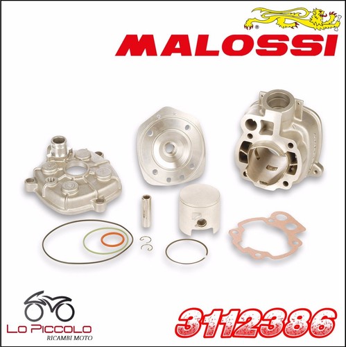 3112386 MALOSSI Thermal Unit MHR Team Ø50 Fantic Caballero 50 2T LC (AM6) |  eBay