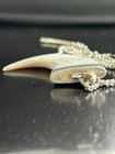Picture 5 of 10