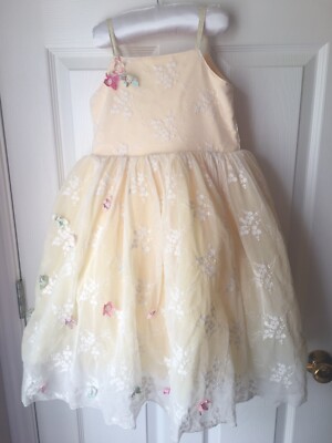 chasing fireflies cinderella