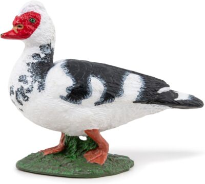 Papo - handbemalt - Tierfigur - heimische Moschusente - 51189 - Bauernhof - Col