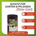 Bild 6 von 6