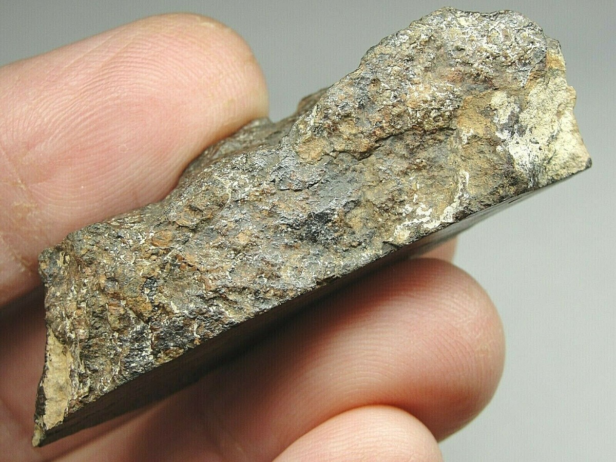 NWA 10997 Official Meteorite - LL3(3.2) - G665-0006 - 28.81g