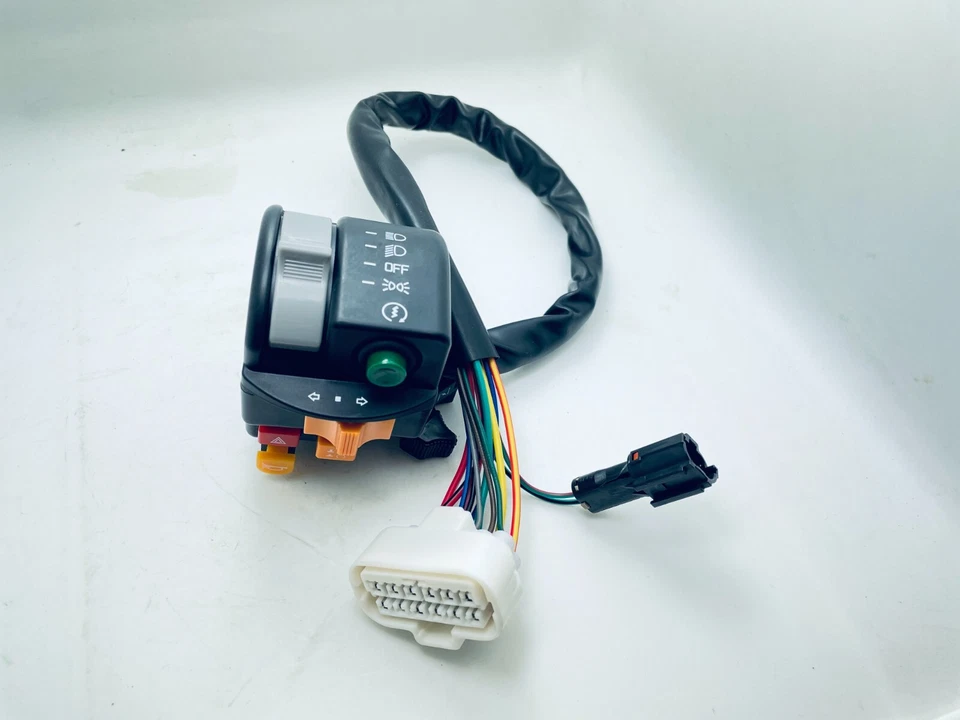 Conjunto de interruptor izquierdo con 14 cables P201001374001000 Fit HiSun ATV Forge 250cc Foto 3 de 4