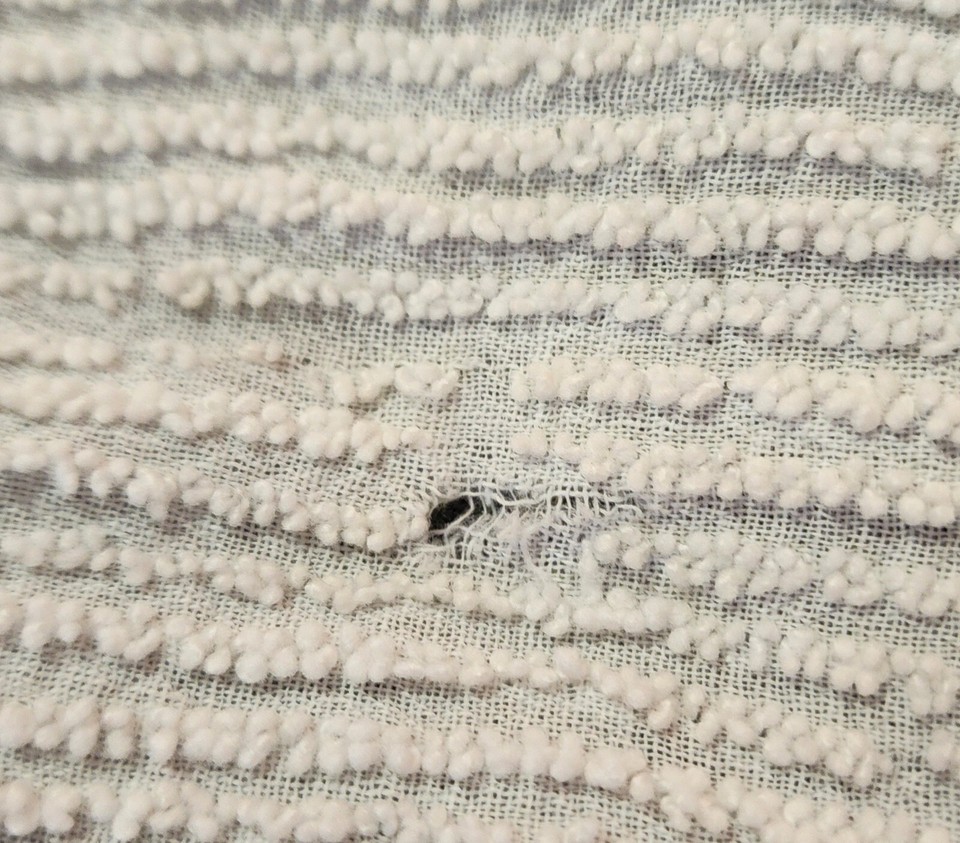 Vintage Chenille Bedspread eBay