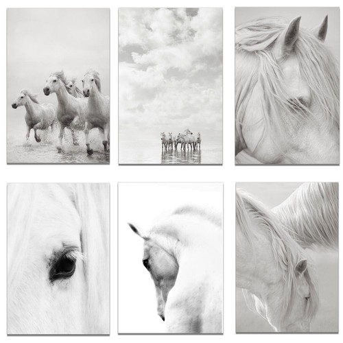 Animal White Horse Canvas Art Print Poster Living Room Wall Picture Modern Decor - Picture 2 of 17