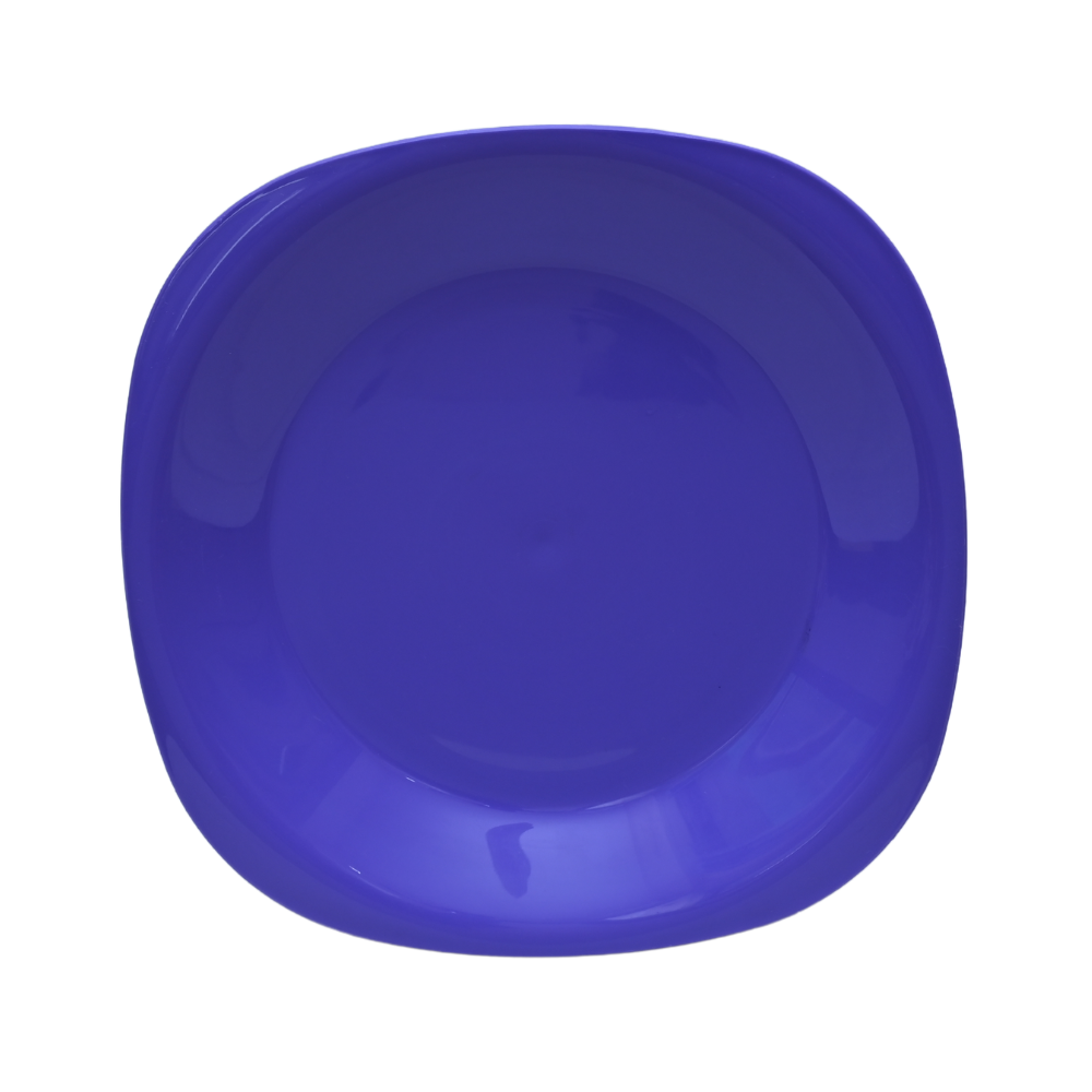 Set Of 6 Reusable Large Unbreakable Plates - Easy To Clean