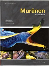 Muränen im Aquarium, Bestimmung, Pflege, Fü...